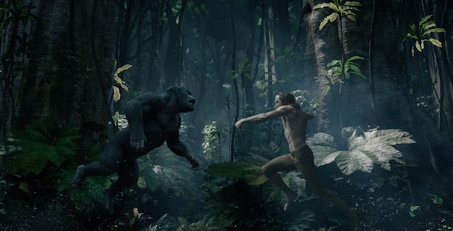 20160801-Tarzan-sub2.jpg