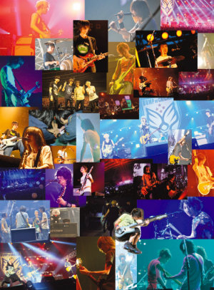 『BUMP OF CHICKEN結成20周年記念Special トゥエンティ Live「20」』通常盤の画像