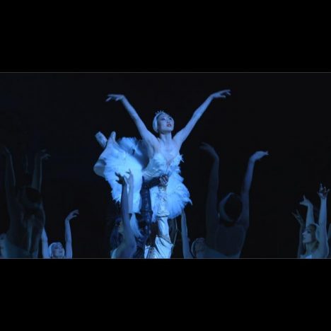 世界のトップで活躍する日本人バレエダンサーを追う　『Maiko ふたたびの白鳥』場面写真公開