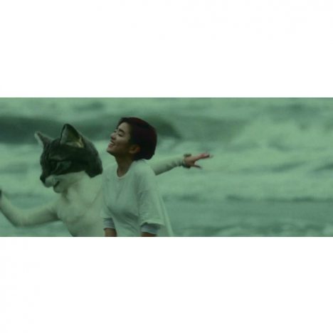 HARUHI、『せか猫』主題歌MV公開