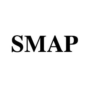 SMAP分析本著者インタビュー