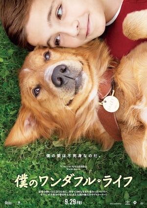 犬と人間のラブストーリー!?　ラッセ・ハルストレム監督最新作『僕のワンダフル・ライフ』9月公開