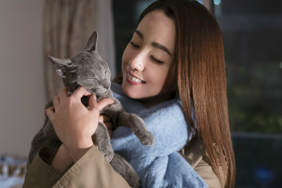 『猫は抱くもの』上海映画祭へ
