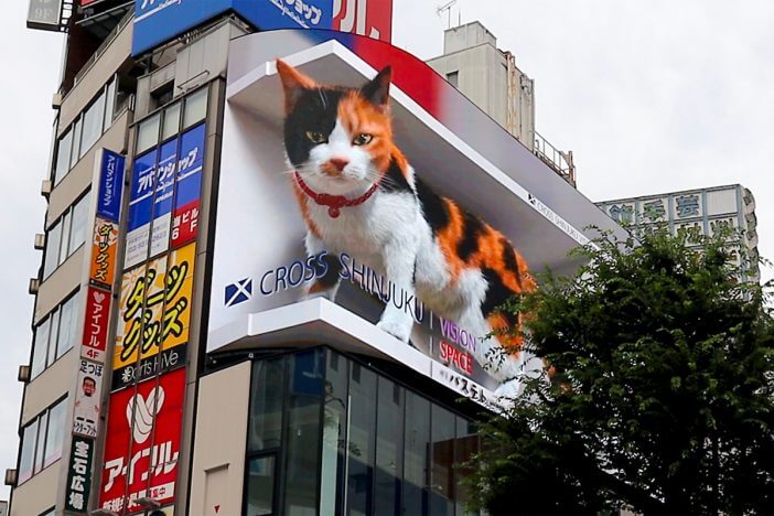新宿東口の「3D巨大猫」のメイキングカットが公開
