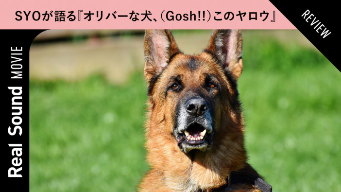 【動画】『オリバーな犬』SYOの生配信決定