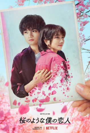 『桜のような僕の恋人』ティザー予告公開