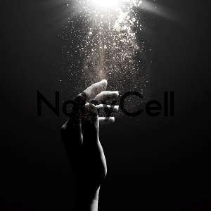 NoisyCell Your Hands