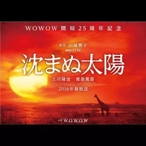 連続ドラマW 沈まぬ太陽』第2弾キャスト発表 夏川結衣、檀れい、板尾創路、小泉孝太郎ら出演へ｜Real Sound｜リアルサウンド 映画部