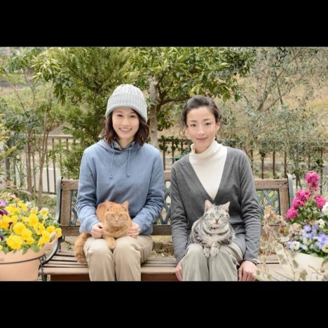 前田敦子と宮沢りえが共演果たす　『グーグーだって猫である』続編の追加キャスト発表