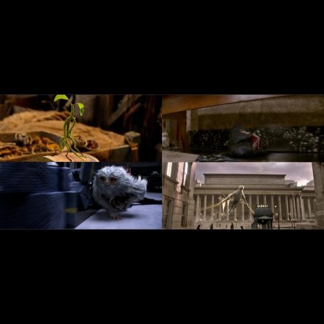 『ファンタスティック・ビースト』、トランクから逃げ出した魔法動物たちの映像＆画像公開