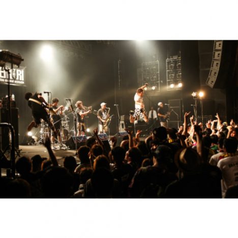 KEMURIがボーダーレスに届けるボジティブな熱　『SKA BRAVO 2016』東京公演レポ