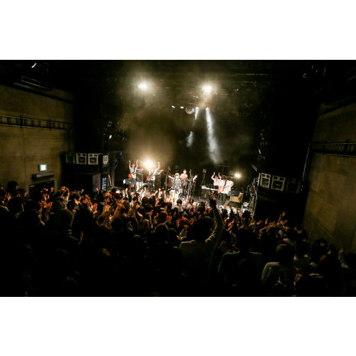 majikoワンマンで感じたミステリアスな魅力