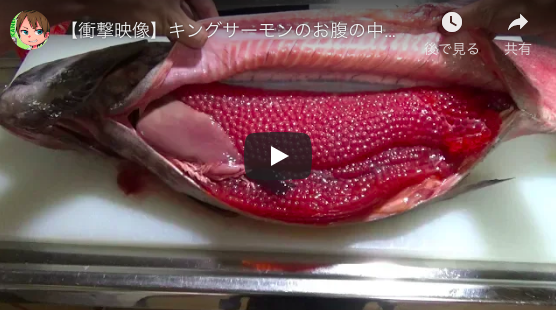 魚捌き系YouTuber「きまぐれクック」チャンネル登録者数150万人突破　菅田将暉もハマる、その魅力とは？