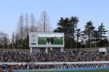 新しい地図がタスキ繋いだ『パラ駅伝』の画像