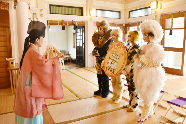 劇団四季 キャッツ 猫たちが今戸神社に登場 ミュージカルロングランとcdヒットを祈願 Real Sound リアルサウンド