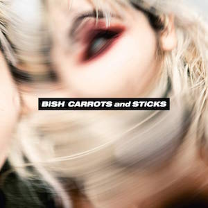 3rd ALBUM『CARROTS and STiCKS』（CD2枚組）の画像