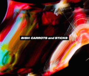 3rd ALBUM『CARROTS and STiCKS』（CD2枚組＋DVD）の画像