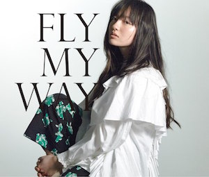 『FLY MY WAY / Soul Full of Music 』（CD）の画像