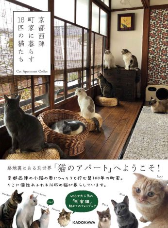 16匹の猫の表情に滲む、幸せな暮らしーー後藤由紀子が話題の猫本『京都西陣 町家に暮らす16匹の猫たち』を読む