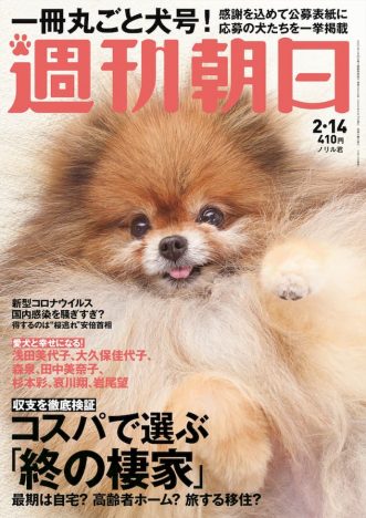 「猫ブームには負けないワン」　『週刊朝日』わんこ特集、表紙ポメラニアンは読者の愛犬