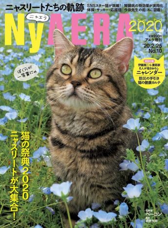一冊まるごと猫特集『NyAERA（ニャエラ）』　岩合光昭撮影の表紙は役者猫のベーコン