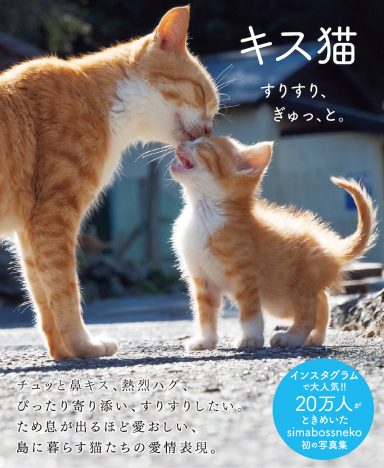 島で暮らす猫たちの仲睦まじい姿にきゅん！　後藤由紀子の『キス猫 −すりすり、ぎゅっ、と。−』レビュー