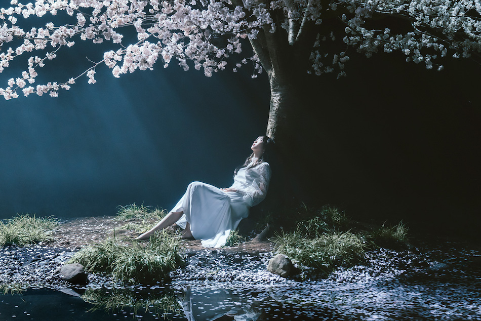Aimer、劇場版『Fate/stay night [Heaven's Feel]』コラボMV限定公開