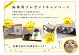 『建築知識』猫のためのDIY特集の画像