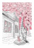 村山早紀『心にいつも猫をかかえて』評の画像