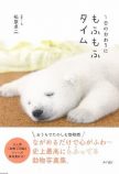 動物写真家・松原卓二が撮影、もふもふ写真の画像