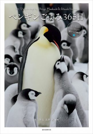 世界18種のペンギンを愛でる写真集『ペンギンごよみ365日』