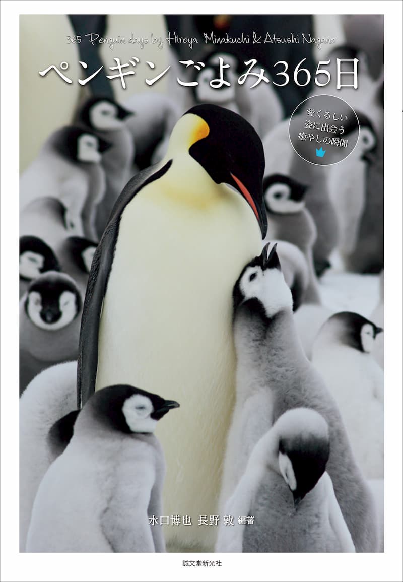 世界18種のペンギンを愛でる写真集