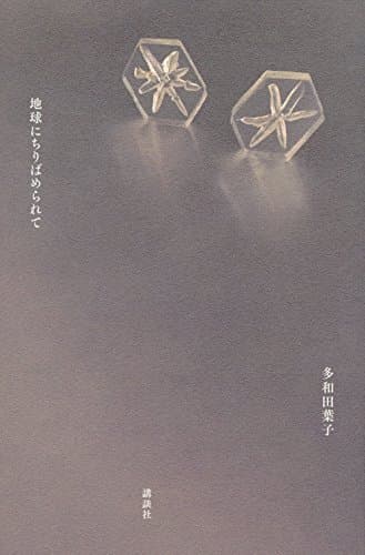 多和田葉子『星に仄めかされて』書評の画像