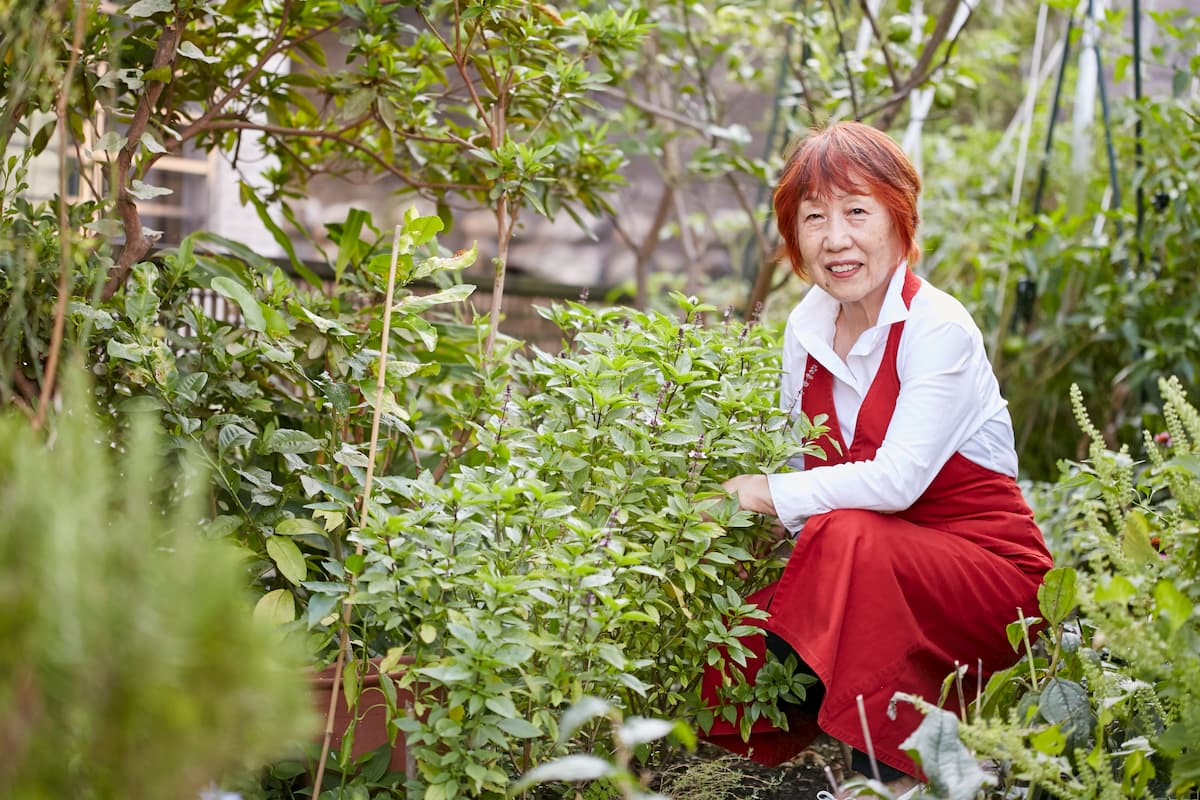 ステイホームで家庭菜園ブームが到来の画像