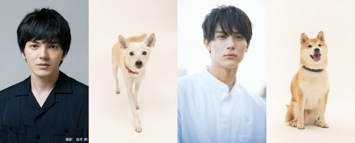 林遣都×中川大志が共演、篠原哲雄が監督に　犬と人間の絆を描く『犬部！』 映画化決定