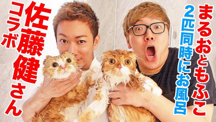ヒカキン＆佐藤健が 豪華“同世代コラボ”　猫好きの二人がYouTubeで振りまいた癒しと笑い