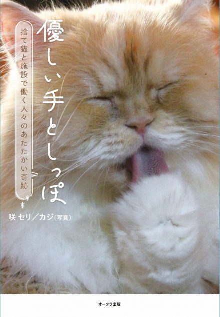 社会から疎外された人と猫を包み込むーー動物愛護施設 Love Peace Pray の熱意 Real Sound リアルサウンド ブック