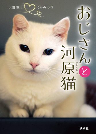 多摩川の捨て猫と3人のおじさんの絆に涙……愛猫家・後藤由紀子の『おじさんと河原猫』レビュー