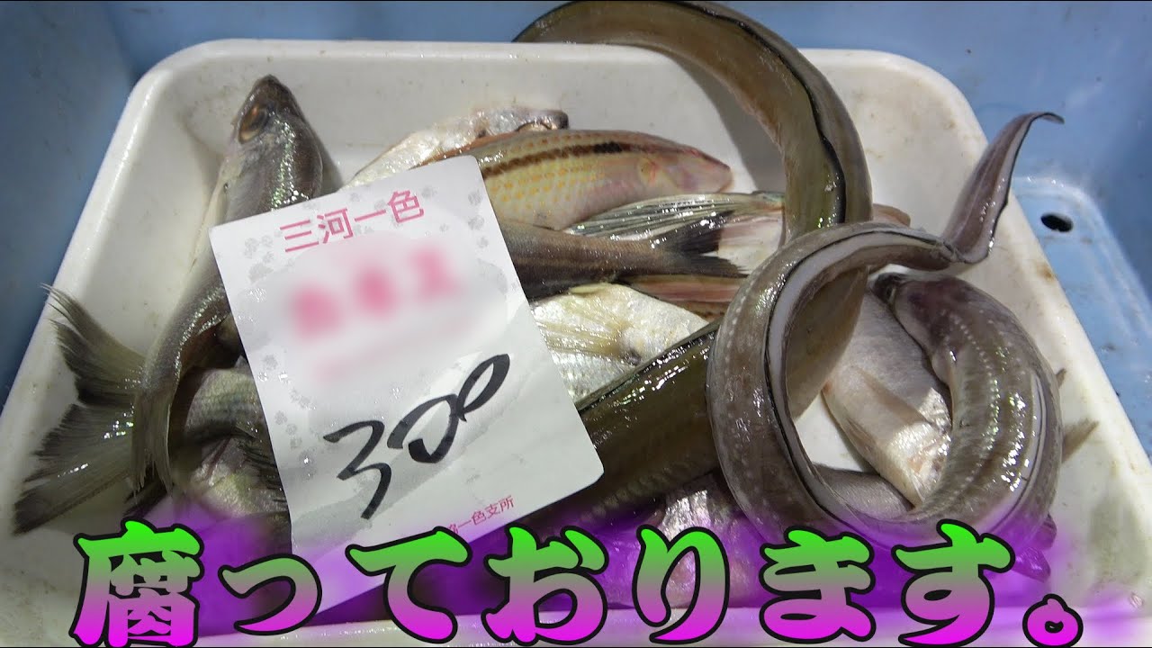 魚捌き系youtuberきまぐれクック 朝市の闇 を告発 真摯な姿勢に感謝の声集まる Real Sound リアルサウンド テック