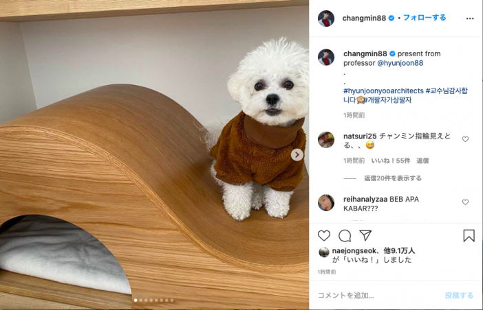東方神起 チャンミン、インスタに愛犬ポッチの写真を投稿　建築家 ユ・ヒョンジュンからプレゼントされた「Buzzi’s House」公開