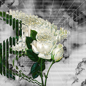 Ryohu「Flower」の画像