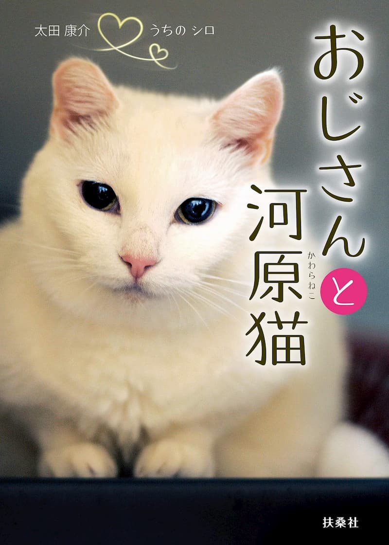 3人のおじさんに愛された「河原猫」とは