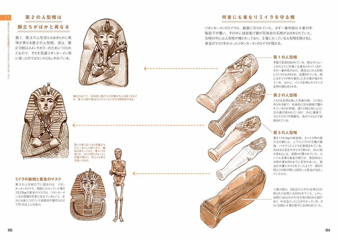 『古代エジプト解剖図鑑』