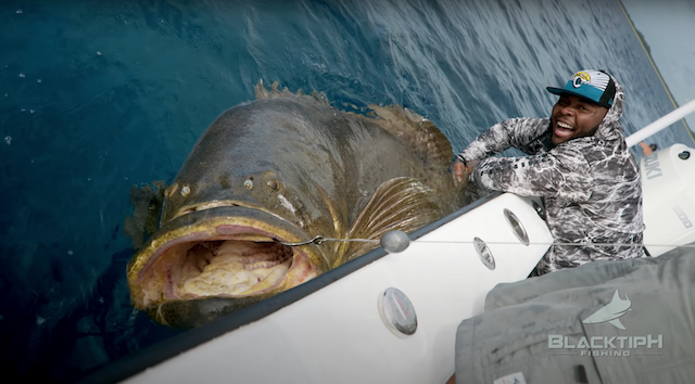 釣り人よりデカい衝撃の巨大魚 ディスカバリーチャンネル でも紹介された異色の釣りチャンネルとは Real Sound リアルサウンド テック