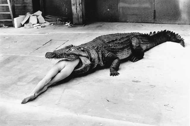 Crocodile, Wuppertal, 1983