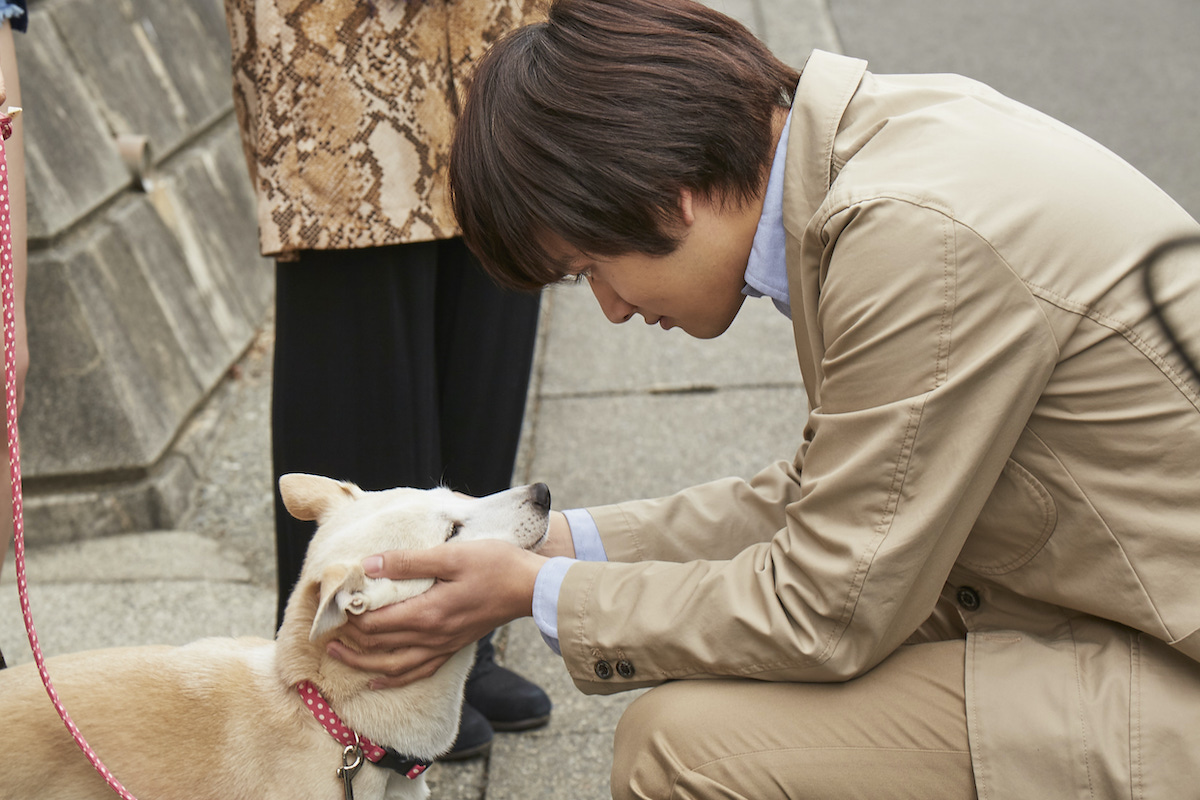 『さくら』メイキングカット公開