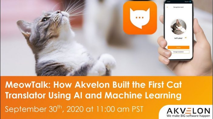 元Amazonエンジニアが開発した、猫の鳴き声翻訳機『MeowTalk』