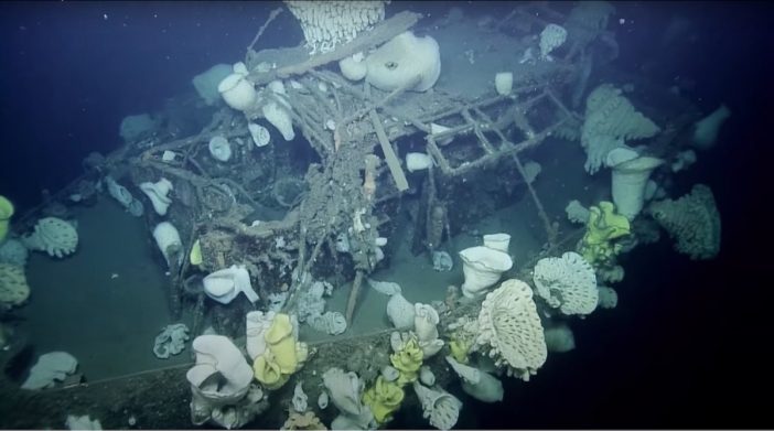 摩訶不思議な深海生物や巨大沈没船の謎に迫る……YouTubeで見られる“海底探索チャンネル”が面白い