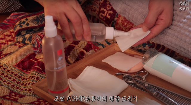 韓国のペット系ASMRYouTubeチャンネルが癒されるの画像