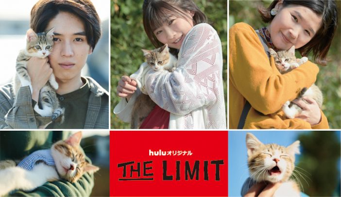 伊藤沙莉、堺小春、坂東龍汰が子ネコとたわむれる　『THE LIMIT』オフショット公開